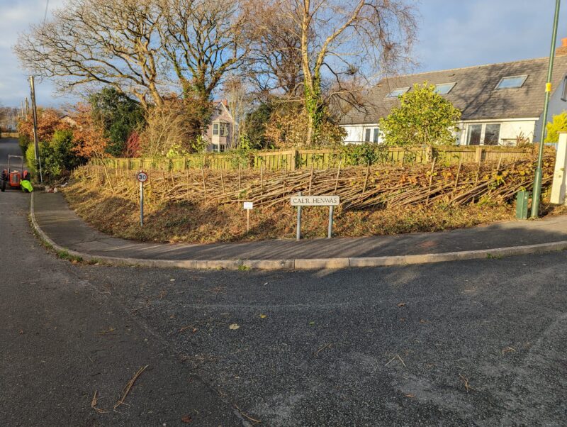 Four Ceredigion Communities Join Forces to Put Decisions in Local Hands