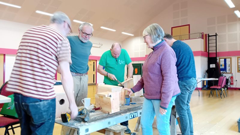 Seeking Social Media Volunteer